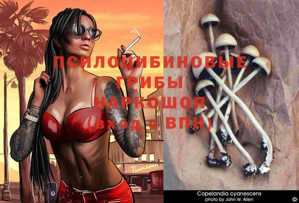 синтетический гашиш Балахна