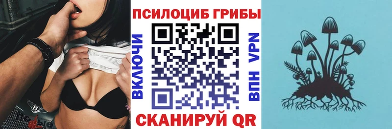 дарк нет официальный сайт  купить закладку  Волчанск  Галлюциногенные грибы Magic Shrooms 